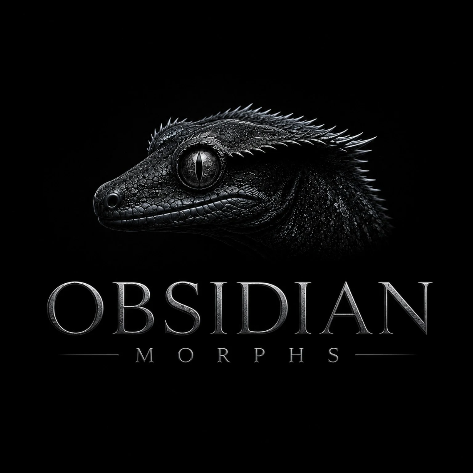 obsidianmorphs.com